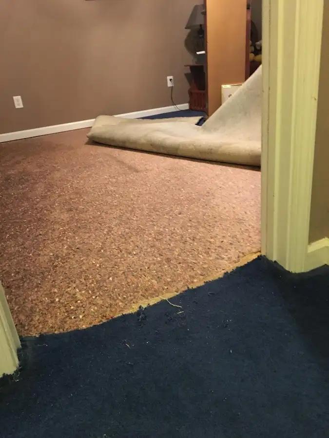Carpet pad removal revealing water damage during Drying & Dehumidification in Barre