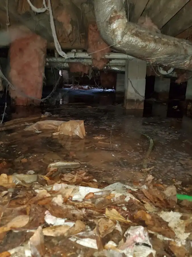 Crawl space flood assessment for Leak Detection & Repair in Barre